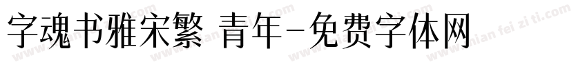 字魂书雅宋繁 青年字体转换